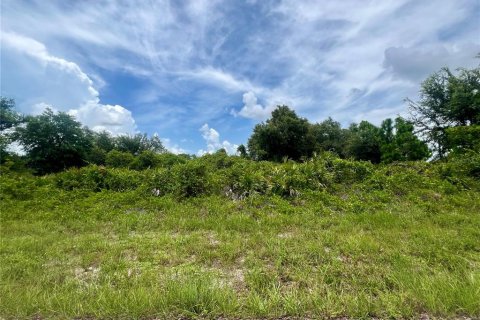 Land in Port Charlotte, Florida № 2164975