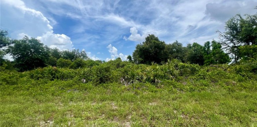 Land in Port Charlotte, Florida № 2164975
