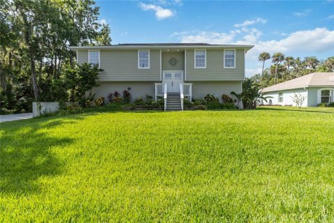 Villa ou maison à vendre à New Smyrna Beach, Floride: 3 chambres, 201.97 m2 № 1783492 - photo 1