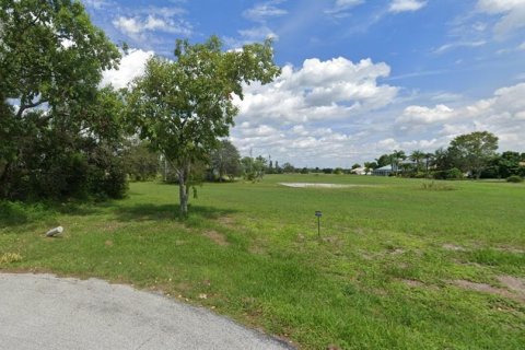 Land in Punta Gorda, Florida № 2160662 - photo 4