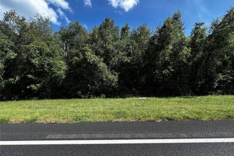 Land in Gainesville, Florida № 2364490