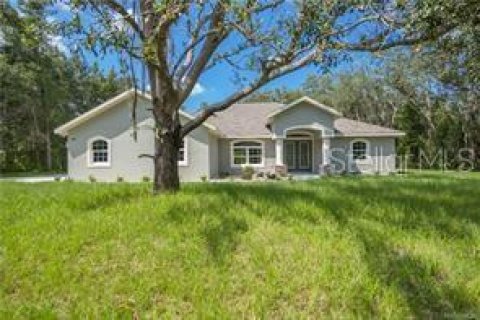 Villa ou maison à vendre à Hernando, Floride: 3 chambres, 186.64 m2 № 1907941 - photo 1
