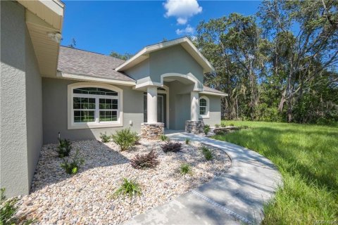 Villa ou maison à vendre à Hernando, Floride: 3 chambres, 186.64 m2 № 1907941 - photo 4