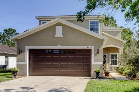 Villa ou maison à vendre à Wesley Chapel, Floride: 4 chambres, 222.22 m2 № 1591643 - photo 1