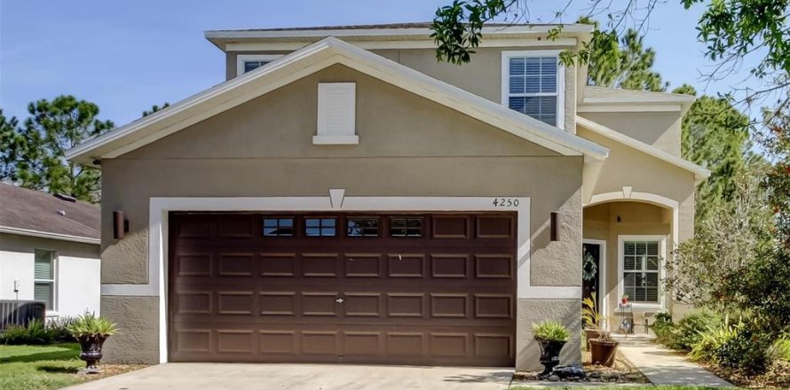 Villa ou maison à Wesley Chapel, Floride 4 chambres, 222.22 m2 № 1591643