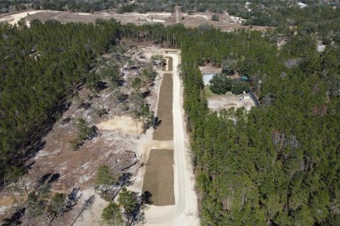 Terreno en venta en Weeki Wachee, Florida № 1535970 - foto 13
