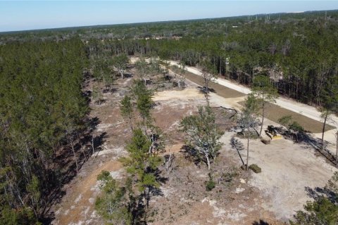 Terreno en venta en Weeki Wachee, Florida № 1535970 - foto 11