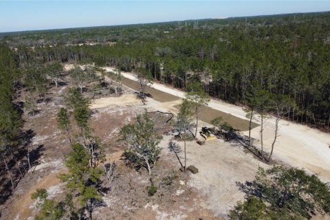 Terreno en venta en Weeki Wachee, Florida № 1535970 - foto 14