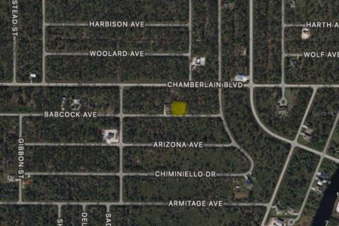 Land in Port Charlotte, Florida № 2223844 - photo 2