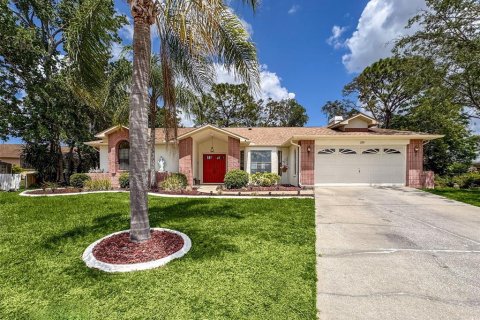 Villa ou maison à vendre à Spring Hill, Floride: 3 chambres, 180.79 m2 № 1634412 - photo 2