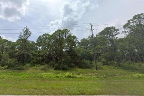 Land in Port Charlotte, Florida № 2162968