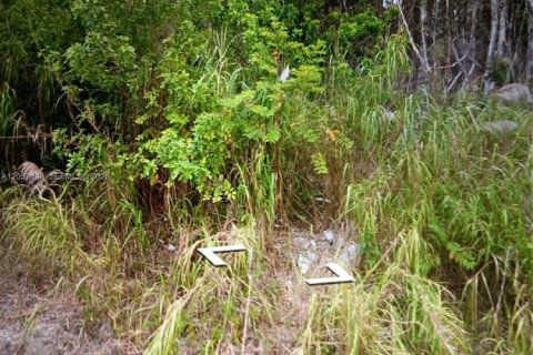 Propiedad comercial en venta en Miami-Dade, Florida № 2169045 - foto 6