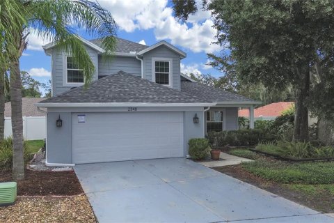Villa ou maison à Land O' Lakes, Floride 3 chambres, 169.08 m2 № 2324941
