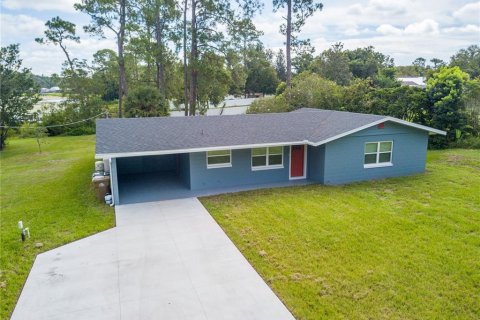 Casa en venta en Umatilla, Florida, 2 dormitorios, 149.94 m2 № 1913514 - foto 3