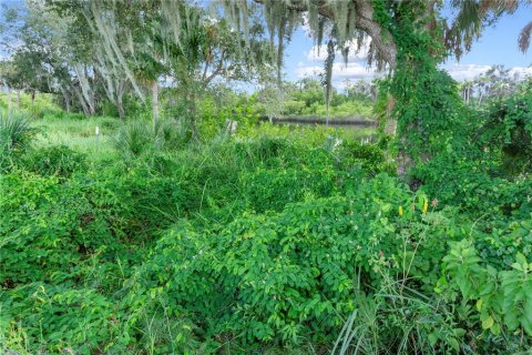 Terreno en venta en Parrish, Florida № 1782312 - foto 26