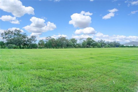Terreno en venta en Parrish, Florida № 1782312 - foto 11