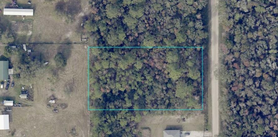 Land in Hastings, Florida № 1898737