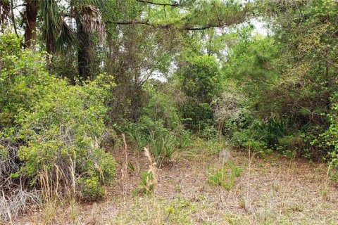 Terreno en venta en Lake City, Florida № 950567 - foto 3