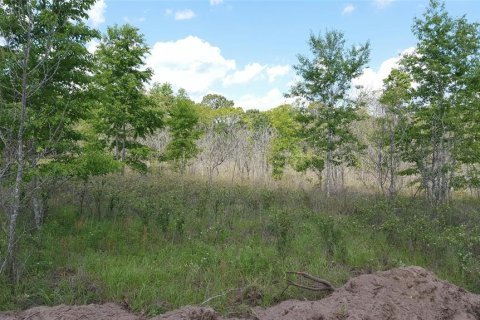 Terreno en venta en Lake City, Florida № 950567 - foto 1