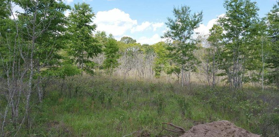 Terreno en Lake City, Florida № 950567