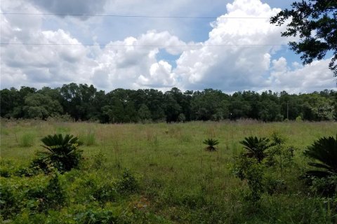 Terreno en venta en Lake City, Florida № 950567 - foto 2