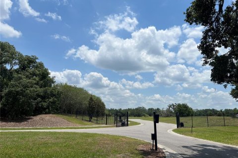 Land in Fish Hawk, Florida № 1736731 - photo 8