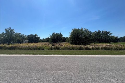 Land in Fish Hawk, Florida № 1736731 - photo 3