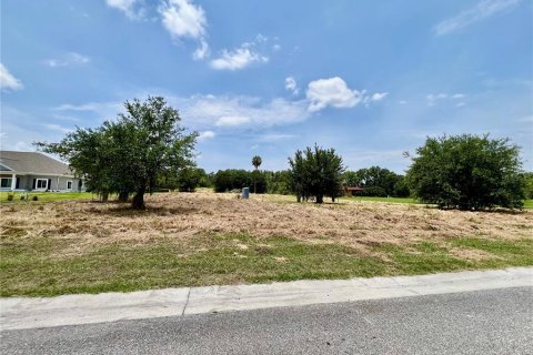 Land in Fish Hawk, Florida № 1736731 - photo 1