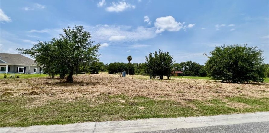 Land in Fish Hawk, Florida № 1736731