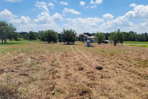 Land in Fish Hawk, Florida № 1736731 - photo 2