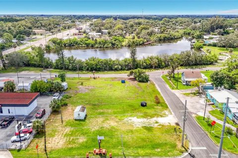 Land in Ruskin, Florida № 2379367 - photo 16
