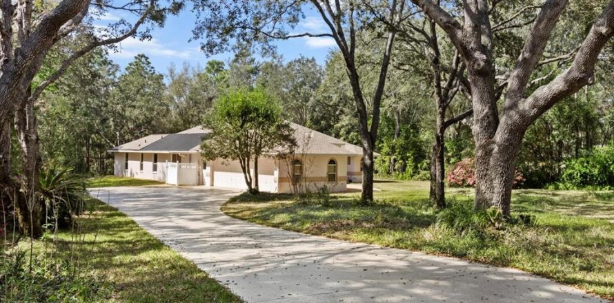 Villa ou maison à Hernando, Floride 4 chambres, 271.09 m2 № 1791950