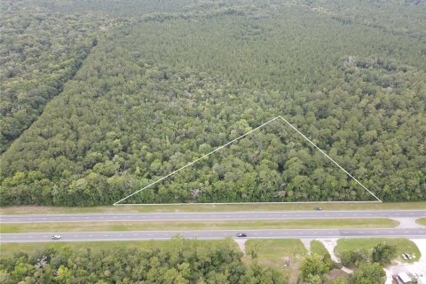 Terrain à vendre à Inglis, Floride № 2218143 - photo 2