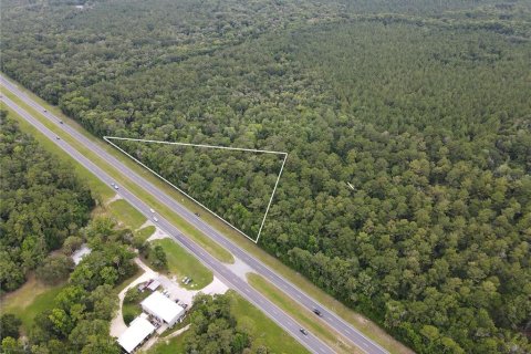 Terrain à vendre à Inglis, Floride № 2218143 - photo 4