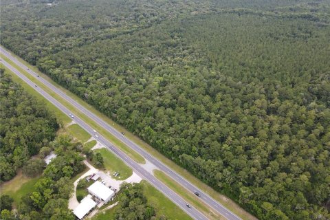 Terrain à vendre à Inglis, Floride № 2218143 - photo 3