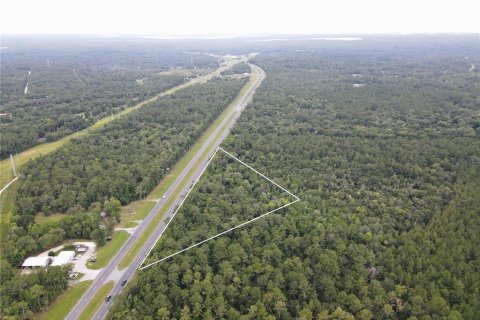 Land in Inglis, Florida № 2218143