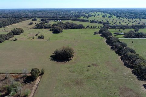 Land in Ocala, Florida № 930432 - photo 7
