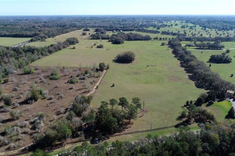 Land in Ocala, Florida № 930432 - photo 6