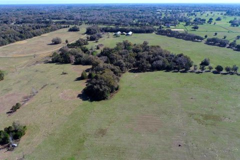 Land in Ocala, Florida № 930432 - photo 10