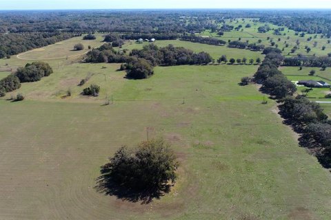 Land in Ocala, Florida № 930432 - photo 8