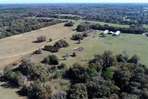 Land in Ocala, Florida № 930432 - photo 13