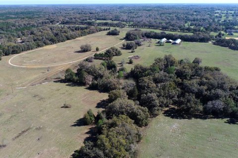 Land in Ocala, Florida № 930432 - photo 11