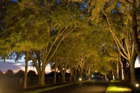 Land in Ocala, Florida № 930432 - photo 3