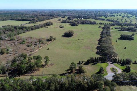 Land in Ocala, Florida № 930432 - photo 2