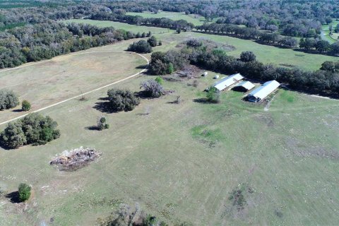 Land in Ocala, Florida № 930432 - photo 14