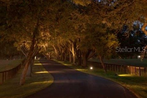 Land in Ocala, Florida № 930432 - photo 15