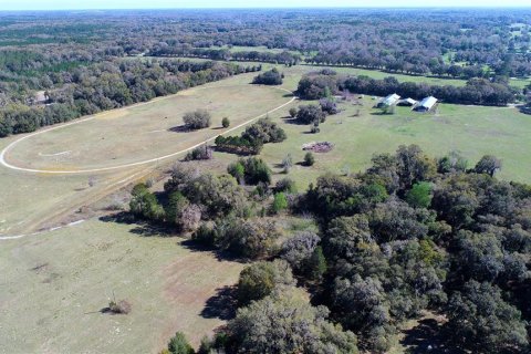 Land in Ocala, Florida № 930432 - photo 12