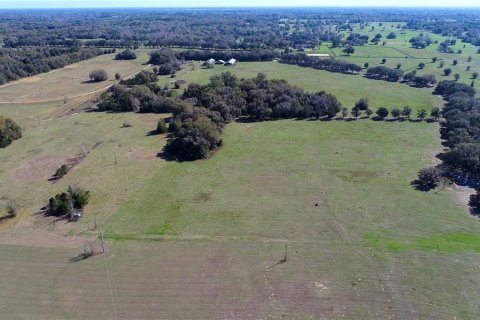 Land in Ocala, Florida № 930432 - photo 9