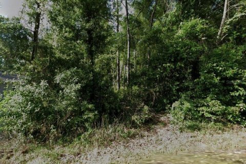 Terrain à Inverness, Floride № 2215316