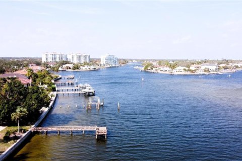 Land in Saint Petersburg, Florida № 1765635 - photo 6